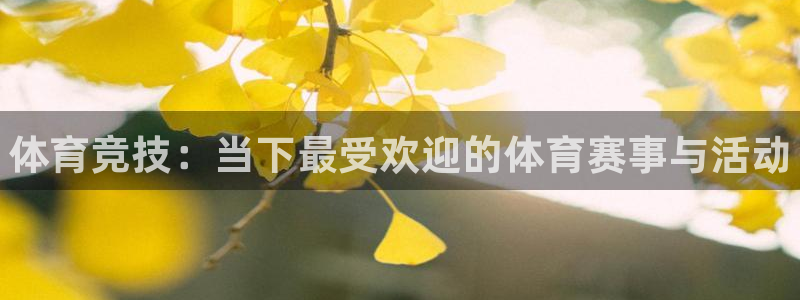 三亿体育