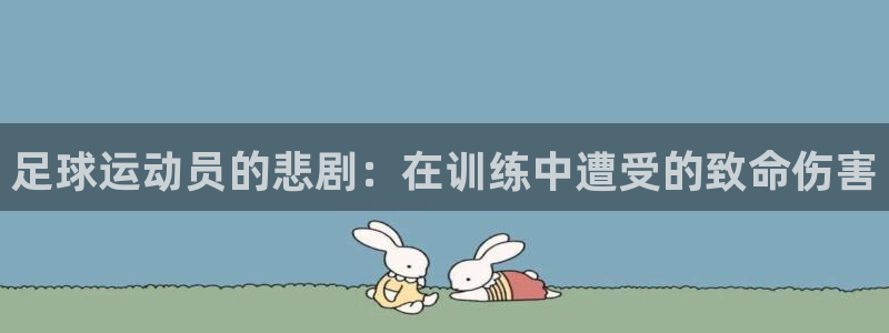 三亿体育网