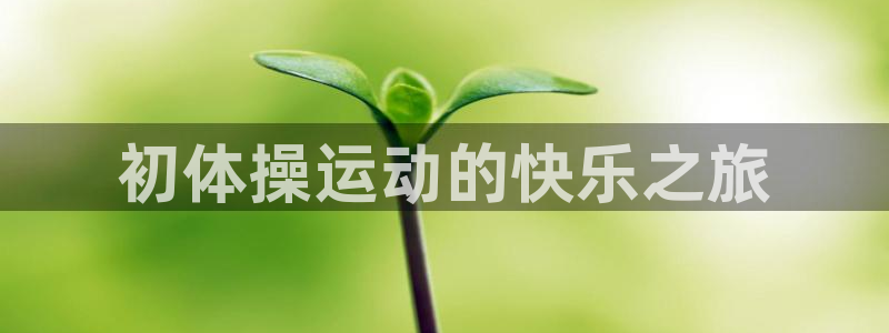 三亿体育网页版